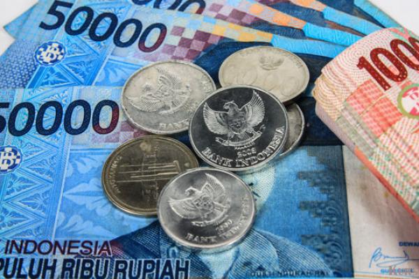 Ekonomi Indonesia Rawan