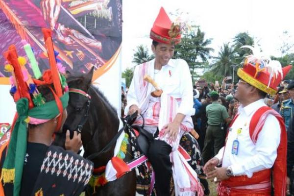 Jokowi Laporkan Pemberikan Kuda dari NTT