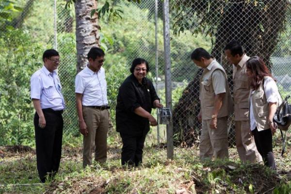 Menteri LHK Resmikan Pusat Rehabilitasi Harimau di Dharmasraya