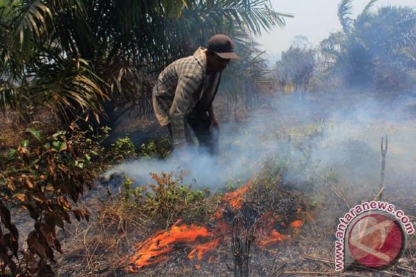 Palangka Raya Status Siaga Darurat Kebakaran Hutan
