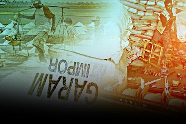 27.500 Ton Garam Impor Disebar ke Jatim, Jateng, dan Kalbar