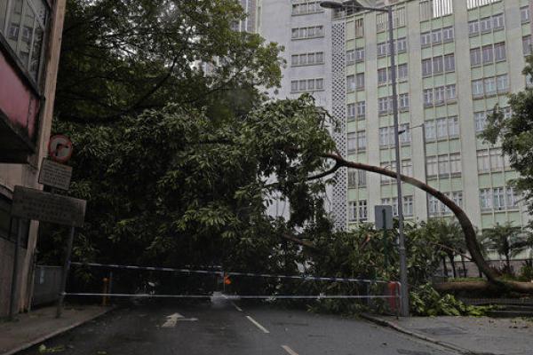 Topan Hato di Macau, Tiga Warga Tewas dan Transportasi Dihentikan