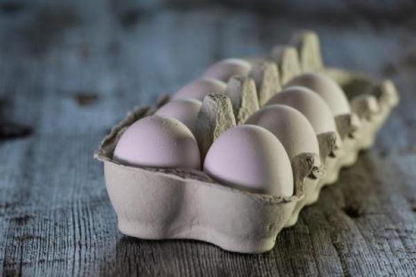 AS Tarik Peredaran 200 Juta Telur Karena Ketakutan