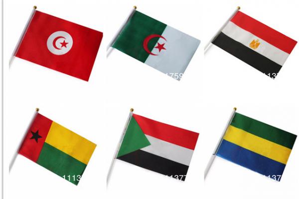 Tiga Negara Afrika Sepakat Bantu Libya