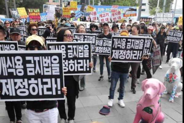 Masyarakat Seoul Kecam Pembunuhan Anjing