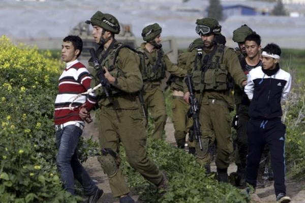 Tentara Israel Grebek Rumah Warga Palestina