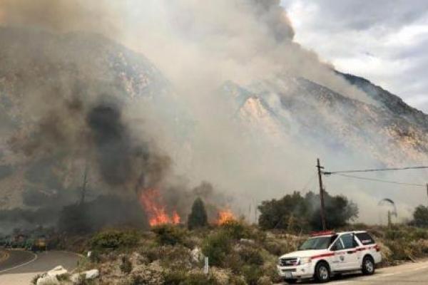 Kebakaran Hutan Tewaskan Seorang Petugas di California