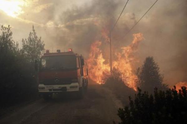 Kebakaran Hutan Tewaskan Dua Warga Yunani