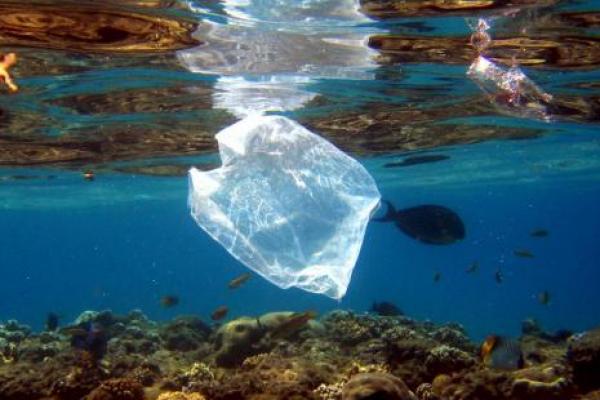 Jamaika Larang Penggunaan Plastik