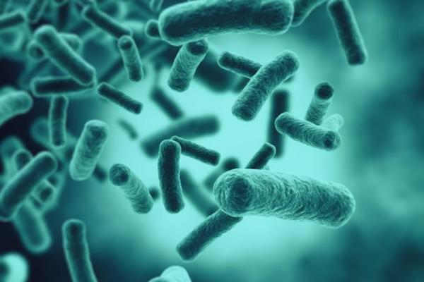 Antibiotik Diobral, Ancaman Superbug Makin Mengerikan