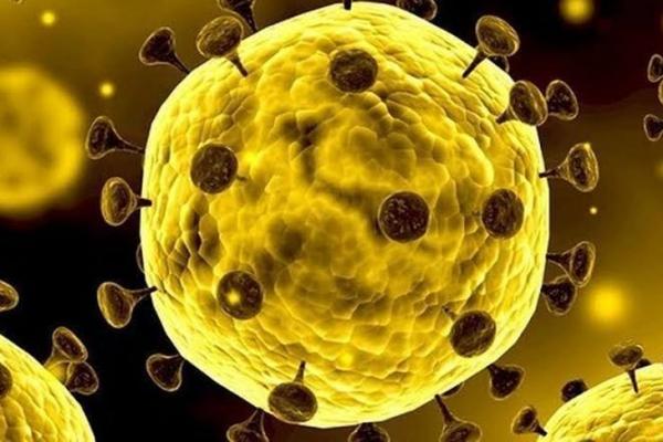 Jumlah Kasus Virus Corona Terus Meningkat di Prancis