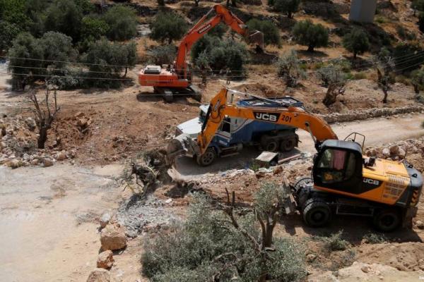 Israel Cabut Ratusan Pohon Zaitun di Wadi Fukin