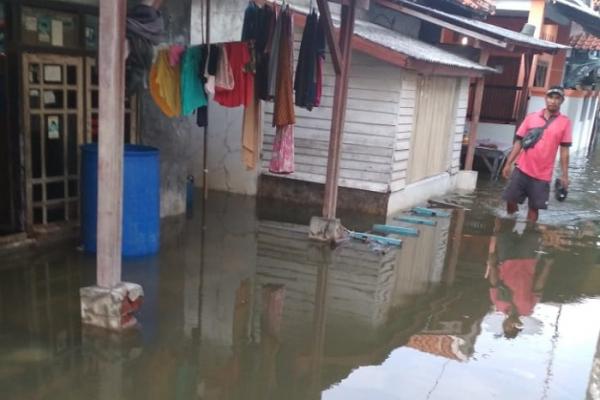 Banjir Rob Lumpuhkan Eretan, Warga: Pemerintah Tolong, Kami Sangat Menderita