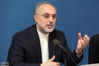 Salehi: Iran Punya Banyak Opsi jika Uni Eropa Tunda Komitmenya