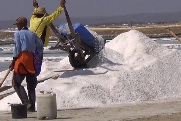 Pemerintah melalui Kementerian Perdagangan (Kemendag) akhirnya mengimpor 75.000 ton garam, untuk memenuhi permintaan di dalam negeri.