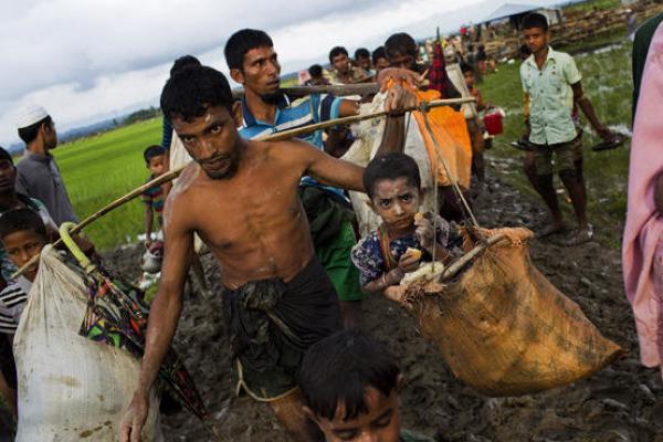 Organisasi Amnesty Internasioanl mengatakan militer Myanmar terindikasi menjalankan taktik bumi hagus terhadap etnis Rohingya di negara Bagian Rakhine