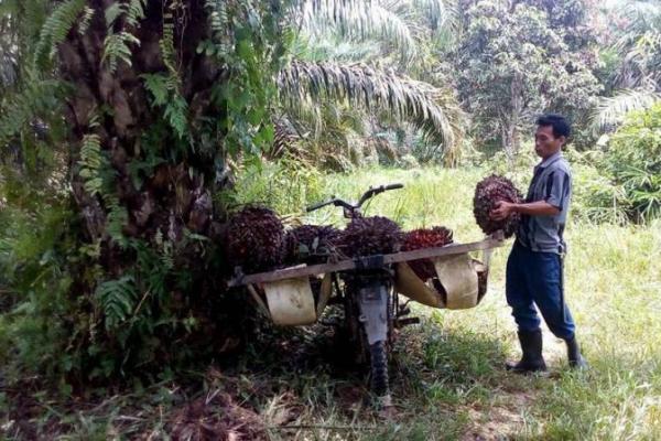 Pendekatan keamanan dan penggunaan kekerasan bertentangan dengan komitmen Presiden Jokowi yang menghendaki penyelesaian konflik agraria.
