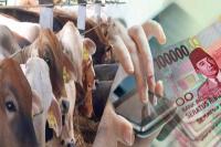 KPK Diminta Periksa Hamdan Zoelva, Tuntaskan Korupsi Impor Daging