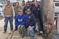 Nelayan Ini Tangkap Tuna Terbesar di Amerika