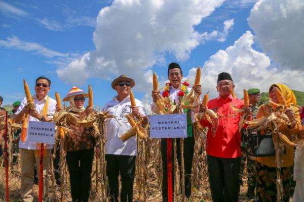 Menurutnya, jagung Gorontalo terbaik di Indonesia dan hasilnya sudah dikenal oleh dunia.