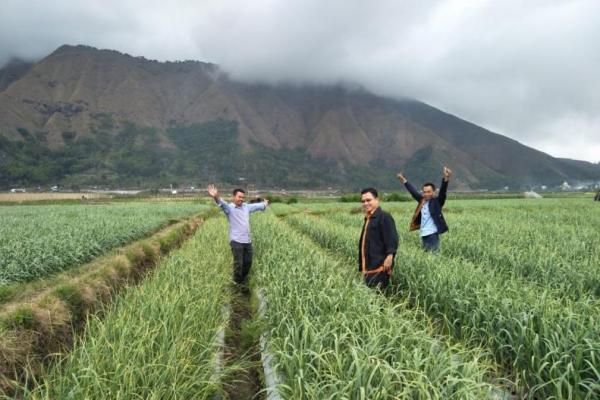 Sentra pengembangan bawang putih di Lombok Timur mencapai 10.000 hektare.