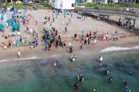 Ratusan Penyelam Dunia Bersihkan Sampah Pantai Florida Pecahkan Rekor Dunia
