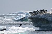 Es Berukuran Empat Kali Prancis Meleleh di Antartika