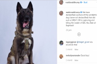 Trump Unggah Foto Anjing Pemburu Pemimpin ISIS