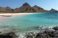 Bingung Cari Tempat Wisata, Pantai Pink NTT Bisa Jadi Solusi