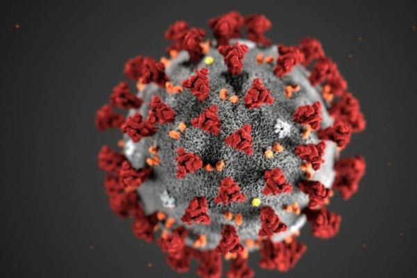 Lebih dari 9.100 orang meninggal akibat virus corona di Amerika Serikat (AS) akhir pekan ini.