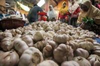 Luluk Nur Hamidah Sayangkan Kewajiban Impor Bawang Putih Ditiadakan