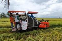 Kementan Target Perluas Kawasan Korporasi Pertanian di 130 Kabupaten
