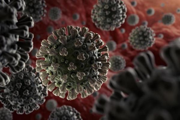 Berdasarkan penelitian lembaga tersebut, tiga strain virus corona di Wuhan tidak cocok dengan Covid-19 di seluruh dunia, dengan kemiripan tidak sampai 80 persen.