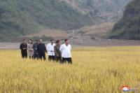 Didampingi sang Adik, Kim Jong un Blusukan Daerah Banjir
