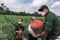 Diminati Milenial, Kementan Tingkatkan Daya Saing Hortikultura