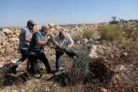 Militer Israel Hancurkan Lahan Pertanian Pohon Zaitun di Tepi Barat