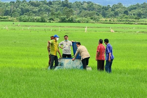 Indeks ketahanan pangan di Indonesia kurun waktu 2014-2019 mengalami kenaikan dan terus membaik sehingga lebih tinggi dari Ethiopia, Filipina, Pakistan dan negara berkembang lainnya.