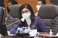 Komisi IX DPR: Pemerintah Perlu Tingkatkan Sinergi dalam Perlindungan PMI di Masa Pandemi