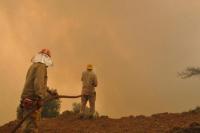 Pemerintah Turki Klaim Semua Kebakaran Hutan Dapat Teratasi