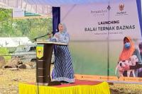 Bersama Bank Permata Syariah, Baznas Luncurkan Balai Ternak Kabupaten Tanah Datar
