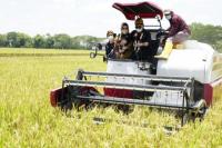 NTP Seluruh Subsektor Pertanian Naik, Kementan: Kado Awal Tahun 2022
