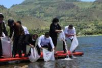 KKP Lakukan Restocking Ikan Tawes dan Nilem di Danau Toba