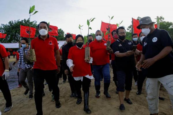 Tanam Mangrove di HUT Megawati, Risma: Menjaga Alam dan Kehidupan