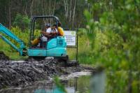 Petani Food Estate Kapuas Kembali Bercocok Tanam Usai Diterpa Banjir