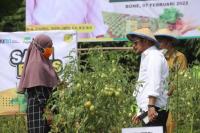 Mentan Syahrul: Bertani di Pekarangan Rumah Bisa Hasilkan 40 Juta Per Bulan