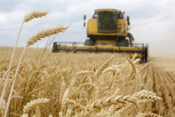PBB desak Rusia bebaskan ekspor gandum Ukraina