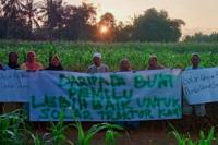 Petani Jagung Sumenep Menentang Usulan APDESI Jabatan Jokowi Tiga Periode