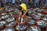 Terbukti Tekan Stunting, KKP Ajak Masyarakat Konsumsi Ikan