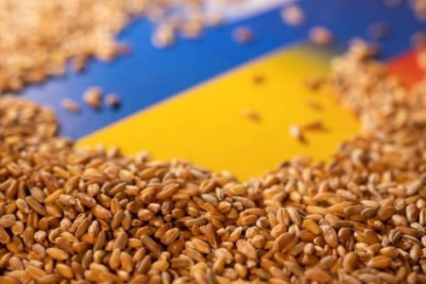 Turki selidiki dugaan pencurian gandum Ukraina oleh Rusia.