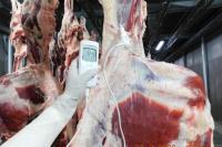 Direksi Bulog Langsung ke India Pastikan Daging Impor Bebas PMK